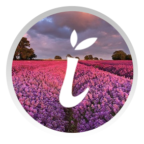 about Eterix