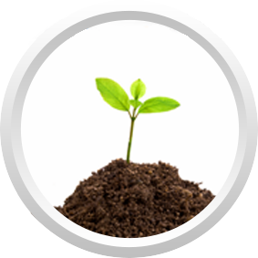 seedlings Eterix